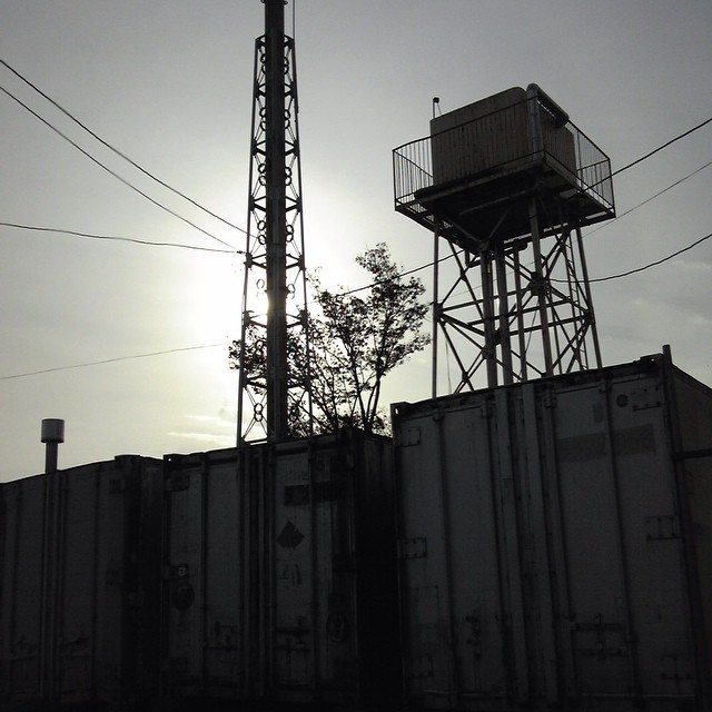 今年も美味しいお酒ができてますよ