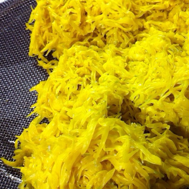 青森県の南部地方には菊を食べる文化があるんです