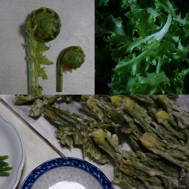 春の #旬 が通り過ぎてく